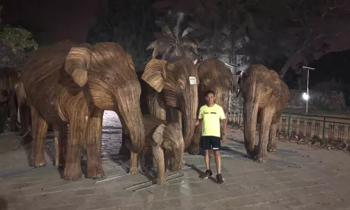 ‘ലന്താന’യില് തീര്ത്ത 30 ആനകള്..! ‘ലന്താന’യില് തീര്ത്ത 30 ആനകള്..!