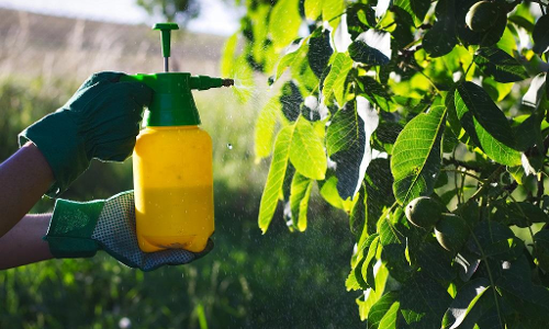 ഓണ്‍ലൈന്‍ വഴി നിരോധിത കീടനാശിനികള്‍  കേരളത്തിലേക്കൊഴുകുന്നു