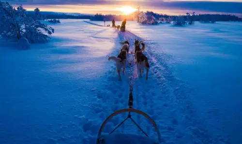 ഫിന്‍ലാന്‍ഡിലൂടെ ഒരു ഹസ്കി സഫാരി യാത്ര..