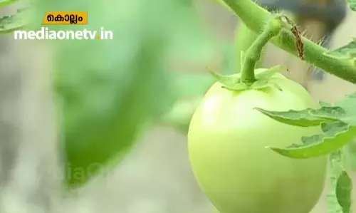 ഒന്നര വര്‍ഷമായി ബിജു പച്ചക്കറി വാങ്ങാറില്ല; കാരണം.. 