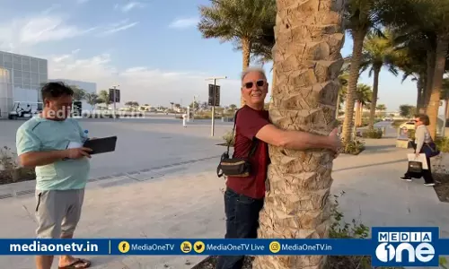 തൊട്ടാല്‍ പാടും ഈന്തപ്പനകള്‍  