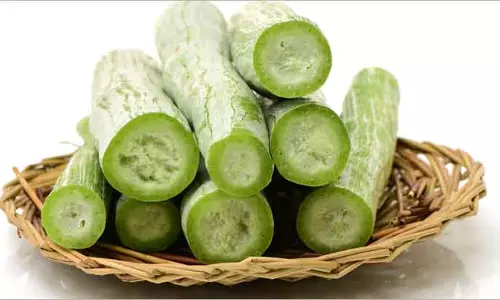 വേനല്‍ക്കാലമിങ്ങെത്തി, അറിയണം പടവലങ്ങയുടെ പ്രാധാന്യം