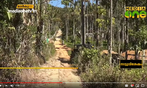 പ്രളയത്തിൽ നടപ്പാലം തകർന്ന് മാൻകുന്ന് കോളനി നിവാസികൾ ദുരിതത്തിൽ  