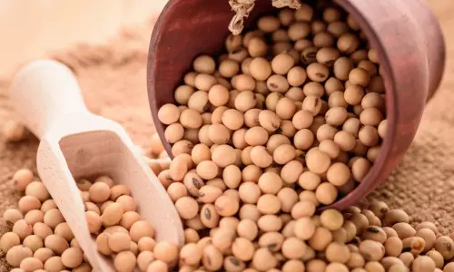 അസ്ഥികളുടെ ബലക്ഷയത്തിനു സോയാബീന്‍ 