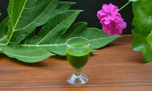 ജ്യൂസടിക്കാം പപ്പായ കൊണ്ടല്ല, പപ്പായ ഇല കൊണ്ട്; കുന്നോളമുണ്ട് ഗുണങ്ങള്‍