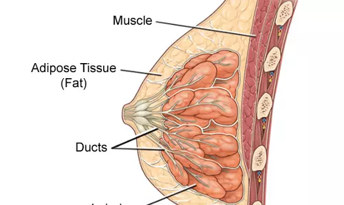 സ്തന രോഗങ്ങൾ | Breast Diseases 