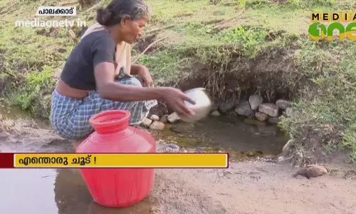 കൊടുംവരൾച്ചയുടെ കാഴ്ചകൾ