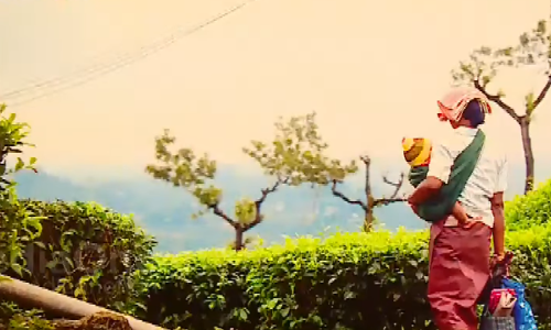 പെണ്ണിടങ്ങളെ അടയാളപ്പെടുത്തി യുവ ഫോട്ടോഗ്രാഫര്‍മാരുടെ ഫോട്ടോപ്രദര്‍ശനം