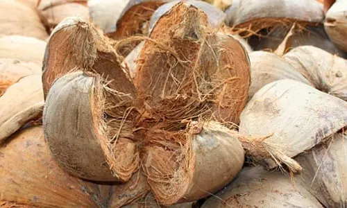 ജൈവ അവശിഷ്ടങ്ങളിൽ ഇന്ധനം ഉൽപാദിപ്പിക്കുകയും പരീക്ഷണങ്ങൾ നടത്തുകയും ചെയ്യുന്ന ബിജോയ്