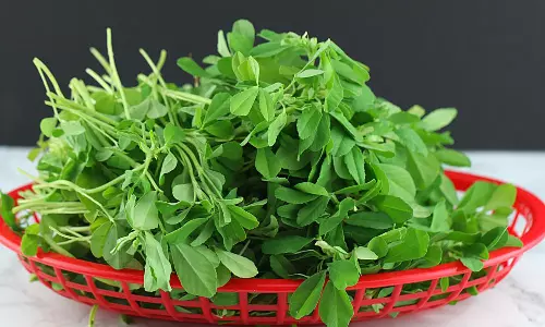 ഉലുവയില; പ്രമേഹ രോഗികള്‍ക്ക് എല്ലാ ദിവസവും കഴിക്കാം