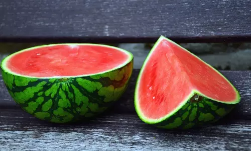 തണ്ണിമത്തൻ കൃഷിയിൽ നൂറുമേനി കൊയ്ത് യുവകർഷകർ