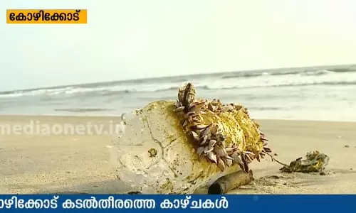 കോഴിക്കോട് കടല്‍തീരത്തെ അപൂര്‍വ കാഴ്ച