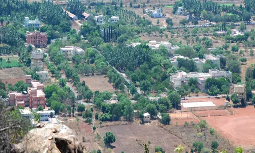 കേരളത്തില്‍ പ്രചരണം പൊടിപൊടിക്കുമ്പോഴും തമിഴ്നാട്ടില്‍ തെരഞ്ഞെടുപ്പ് വന്നതു തന്നെ അറിഞ്ഞ മട്ടില്ല