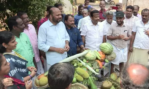 പ്രചാരണത്തിനിടെ പച്ചക്കറി ലേലംവിളി; ഇടവേള ആഘോഷമാക്കി സ്ഥാനാര്‍ഥിയും കൂട്ടരും  