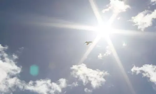 സംസ്ഥാനത്ത് സൂര്യാതപ മുന്നറിയിപ്പ്