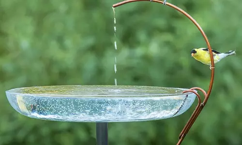 പക്ഷികളുടെ ദാഹമകറ്റാന്‍   മത്സരമൊരുക്കി കുരുന്നുകള്‍  