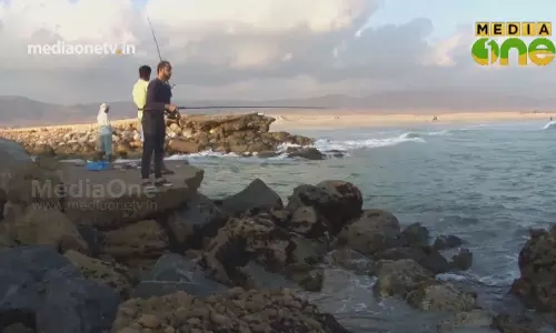 കേരളത്തിനോട് സമാനമായ സലാലയിലെ ചൂണ്ടയിടൽ