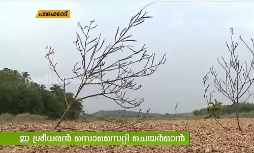 ഫ്രന്‍റ്സ് ഓഫ് ഭാരതപ്പുഴ സൊസൈറ്റിക്ക് തുടക്കം
