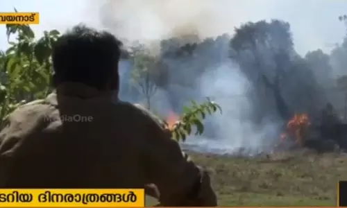 കാലാവസ്ഥാ വ്യതിയാനം വയനാടന്‍ ഭൂപ്രകൃതിയെ മാറ്റിമറിക്കുന്നു