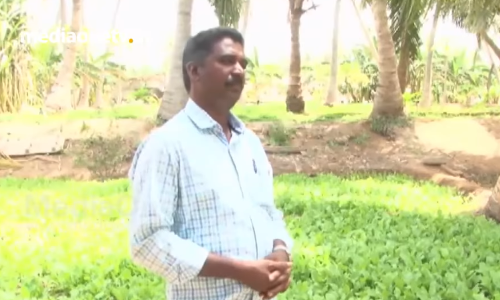 പടലപ്പിണക്കങ്ങളിൽ മനം നൊന്ത് സജീവ രാഷ്ട്രീയ പ്രവർത്തനം ഒഴിവാക്കി പ്രവാസിയായ പ്രസന്നന്‍