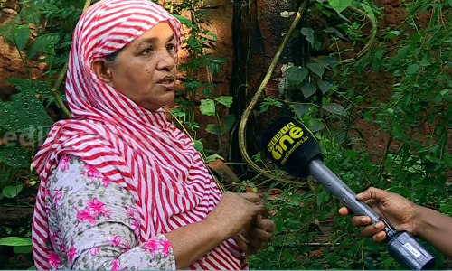 മുറ്റത്തും പറമ്പിലുമെല്ലാം കാണുന്ന പുല്‍നാമ്പുകള്‍ക്ക് പേരുണ്ട്,ഔഷധ ഗുണങ്ങളുമുണ്ട്; നാട്ടറിവുമായി സൈനബ