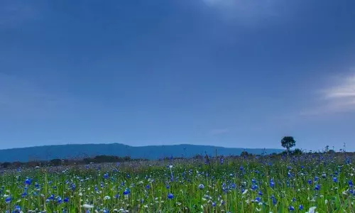 മാടായിപ്പാറയിലെ മനം നിറയ്ക്കുന്ന മഴക്കാഴ്ചകള്‍