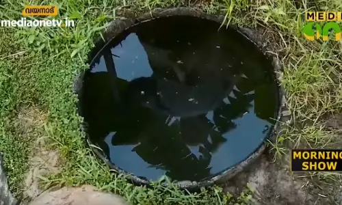 വയനാടിന് കേണികള്‍ അന്യമാകുമ്പോള്‍..