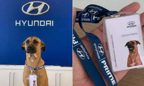 കാര്‍ വില്‍ക്കാന്‍ നായ; വൈറലായി ഹ്യൂണ്ടായുടെ ഈ സെയില്‍സ് ഡോഗ്