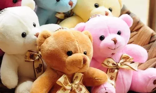 ടെഡി ബിയര്‍ ആളത്ര ചില്ലറക്കാരനല്ല..