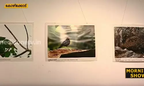 മൊയ്തു വാണിമേലിന്റെ അപൂര്‍വ്വയിനം പക്ഷികളുടെ ഫോട്ടോ പ്രദര്‍ശനം
