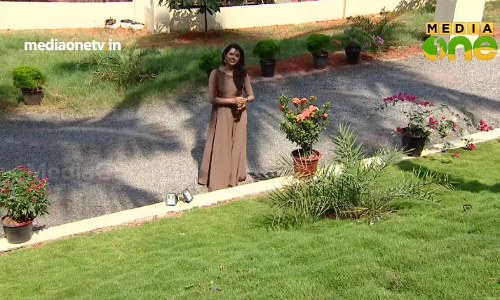 പാലസ് പോലൊരു വീട് പാലസ് പോലൊരു വീട്