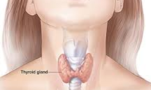 തൈറോയിഡ് രോഗം: ചികിത്സ എങ്ങനെ?
