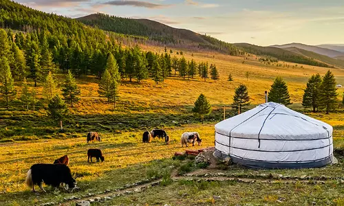 മംഗോളിയ അഥവാ നീലാകാശത്തിന്റെ നാട്