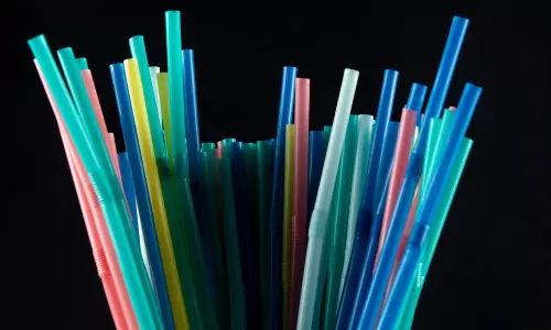 ഒറ്റത്തവണ ഉപയോഗിക്കാനാവുന്ന 10 പ്ലാസ്റ്റിക് ഉത്പന്നങ്ങള് യൂറോപ്യന് യൂണിയന് നിരോധിച്ചു ഒറ്റത്തവണ ഉപയോഗിക്കാനാവുന്ന 10 പ്ലാസ്റ്റിക് ഉത്പന്നങ്ങള് യൂറോപ്യന് യൂണിയന് നിരോധിച്ചു