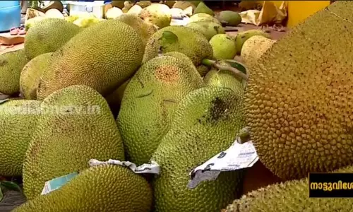 രുചിയൂറും വിഭവങ്ങളുമായി ചക്ക ഫെസ്റ്റ്