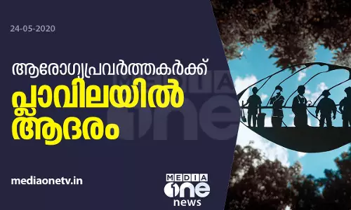ആരോഗ്യപ്രവര്‍ത്തകര്‍ക്ക് പ്ലാവിലയില്‍ ആദരമൊരുക്കി ഗ്ലാഡിസ് ബോണിഫാസിയോ