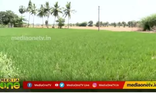 കണ്ണീരുണങ്ങാത്ത കാവേരി 