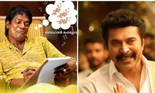 മധുരരാജയില്‍ മലയാള സിനിമ ഇതുവരെ കാണാത്ത ഗ്രാഫിക്സ് വിസ്മയമുണ്ടെന്ന് സലിംകുമാര്‍