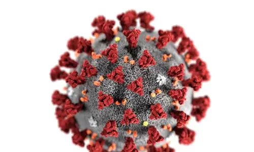 ബഹ്‌റൈനിൽ 495 പേർക്ക് കൂടി കോവിഡ് സ്ഥിരീകരിച്ചു