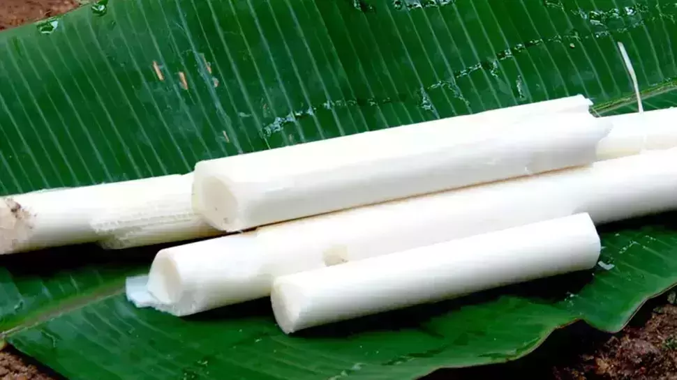 വാഴപ്പിണ്ടിയില്‍ നിന്നും ഉപ്പേരി മാത്രമല്ല, കിടിലന്‍ ജ്യൂസുമുണ്ടാക്കാം