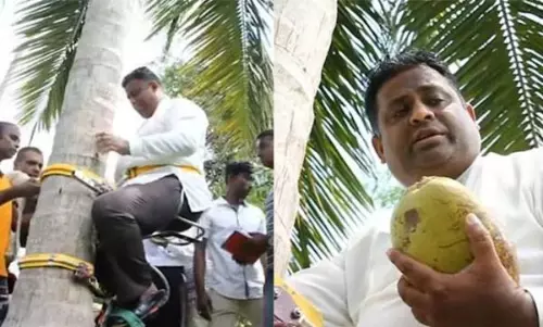 നാളികേരക്ഷാമം, ജനങ്ങളെ ബോധവത്കരിക്കാന്‍ മന്ത്രി തെങ്ങില്‍...