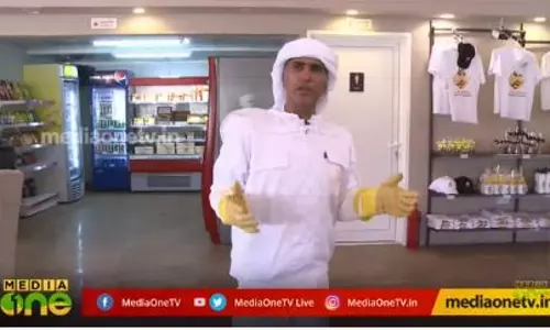 ഹണി ബീ ഗാര്‍ഡനിലേക്ക് ഒരു യാത്ര