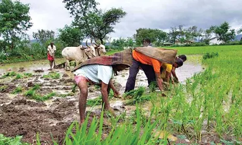 വയനാട്ടില് രാഹുലിനെ നേരിടാന് ഇടതുപക്ഷത്തിന്റെ കര്ഷക പാര്ലമെന്റ് വയനാട്ടില് രാഹുലിനെ നേരിടാന് ഇടതുപക്ഷത്തിന്റെ കര്ഷക പാര്ലമെന്റ്