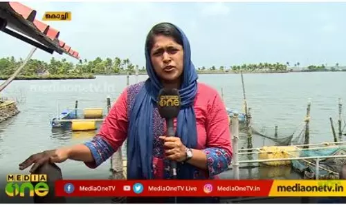 കല്ലുമ്മക്കായ കൊച്ചിയിലെ കായലിലുമെത്തി കല്ലുമ്മക്കായ കൊച്ചിയിലെ കായലിലുമെത്തി