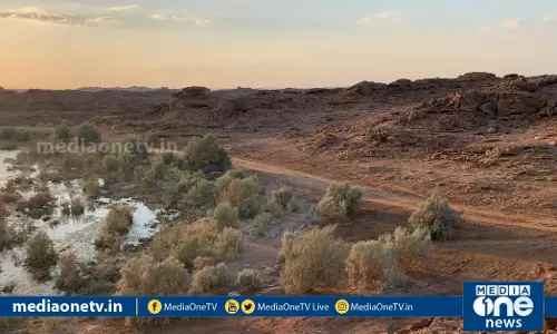 ഏറ്റവും പുതിയ ഗള്‍ഫ് വിശേഷങ്ങള്‍ |Mid East Hour