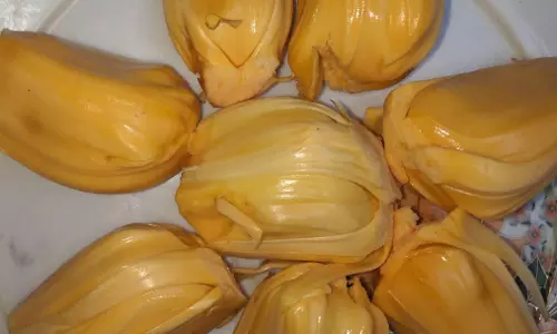 നങ്കടാക്ക്; ചക്കപ്പഴങ്ങളുടെ കൂട്ടത്തിലെ പുതുമുഖം