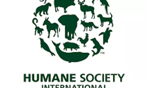 തെരുവുനായകള്‍ക്കായി ഹുമൈൻ ഇൻറർനാഷണൽ