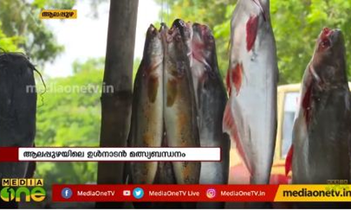 കുട്ടനാട്ടില് ഉള്നാടന് മത്സ്യബന്ധനം സജീവം കുട്ടനാട്ടില് ഉള്നാടന് മത്സ്യബന്ധനം സജീവം