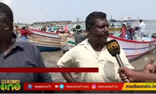 കിലോയ്ക്ക് 240, മത്തിയാണ് താരം കിലോയ്ക്ക് 240, മത്തിയാണ് താരം