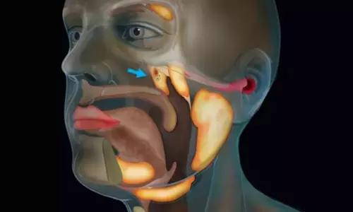 മനുഷ്യ ശരീരത്തില്‍ പുതിയ ഒരു അവയവം കൂടി കണ്ടെത്തി; കാന്‍സര്‍ ചികിത്സയില്‍ നിര്‍ണായകം